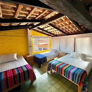 Casa Frida Gaylodging Hostal Puerto Vallarta